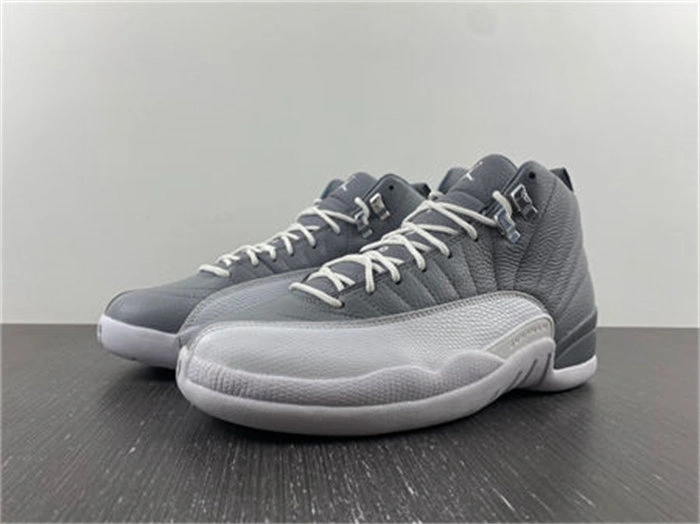 Jordan 12 Retro Stealth CT8013- Supportive 4141