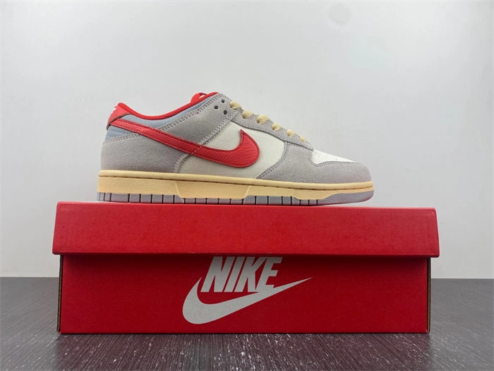 Nike Air Dunk 85 Athletic Department FJ5429- Sleek 4637
