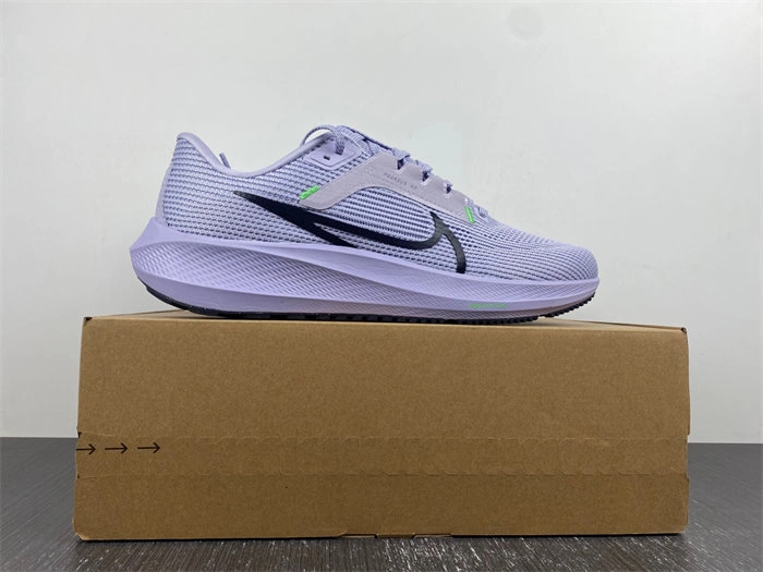 Nike Pegasus 40 DV3853- Seasonal 5311